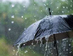 Photo  : मराठवाड्यासह विदर्भ आणि उत्तर महाराष्ट्रात पावसाचा यलो अलर्ट