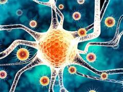 Nipah Virus: નિપાહ વાયરસના લક્ષણો શું છે, તે પ્રાણીઓમાંથી મનુષ્યમાં કેવી રીતે ફેલાય છે?