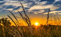 Farming History: শিল্পায়নের যুগে কার্যতই কোণঠাসা, কিন্তু অর্থনীতির ভিত্তিই কৃষিকাজ, হাজার হাজার বছর আগে সূচনা এশিয়াতেই