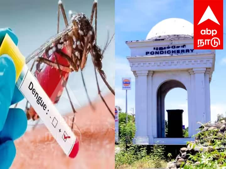 Dengue fever The number of dengue victims in Puducherry rises to 64 TNN புதுச்சேரியில் டெங்குவால் பாதிக்கப்பட்டவர்களின் எண்ணிக்கை 64 ஆக உயர்வு