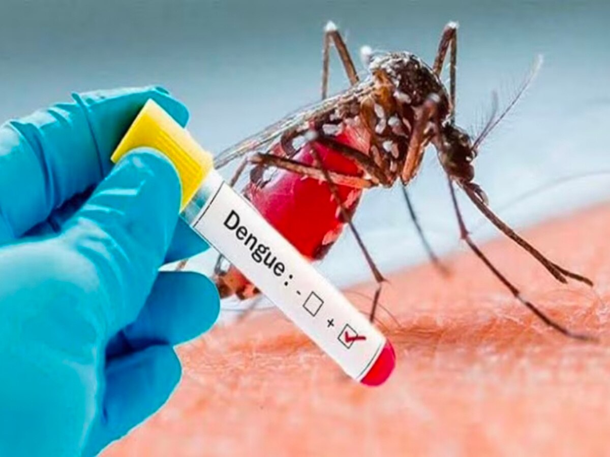 Dengue Fever: திருவண்ணாமலையில் டெங்கு காய்ச்சலால் 4 பேர் பாதிப்பு