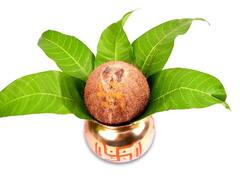 Hartalika Teej 2023: विवाह में हो रही देरी तो हरतालिका तीज पर करें नारियल का उपाय, जल्द बजेगी घर में शहनाई