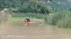 In Pics: भविष्य से खिलवाड़! हाथ में चप्पल, कंधों पर बैग, जान जोखिम में डालकर नदी पार कर स्कूल जाते हैं बच्चे