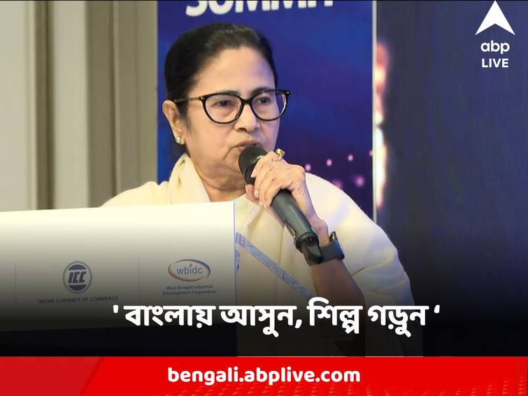 Chief Minister Mamata Banerjee asks Spain Businessman to come to Bengal for Industry Investment Mamata Banerjee : 'বাংলায় আসুন, শিল্প গড়ুন, জমির কোনও অভাব হবে না', স্পেনের শিল্পপতিদের বাংলায় লগ্নির আহ্বান মুখ্যমন্ত্রীর