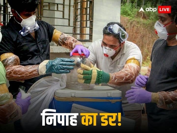 Kerala Nipah Virus Outbreak Kozhikode High Alert ICMR Latest Updates Nipah Virus: केरल पर मंडरा रहा निपाह वायरस का खतरा, एक और केस मिला, स्कूल बंद
