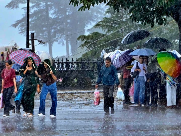 MP Farmers stand bloom due to rain IMD warned about heavy rain in 16 District Bhopal Ujjain ka Mausam ANN MP Weather News: बारिश से किसानों के खिल उठे चेहरे, भारी बारिश को लेकर IMD ने दी चेतावनी, जानें मौसम का ताजा अपडेट