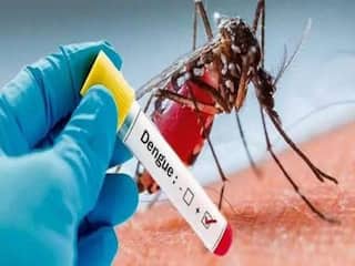 Dengue Fever: மதுரையில் ஒரே நாளில் 7 குழந்தைகள் உள்ளிட்ட 15 பேருக்கு டெங்கு பாதிப்பு