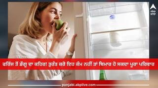 Dengue : ਫਰਿੱਜ ਤੋਂ ਡੇਂਗੂ ਦਾ ਕਹਿਰ! ਤੁਰੰਤ ਕਰੋ ਇਹ ਕੰਮ ਨਹੀਂ ਤਾਂ ਬਿਮਾਰ ਹੋ ਸਕਦਾ ਪੂਰਾ ਪਰਿਵਾਰ