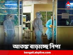 Nipah Virus: কোভিডের থেকেও বেশি মৃত্যুহার! উদ্বেগ বাড়াচ্ছে নিপা ভাইরাস