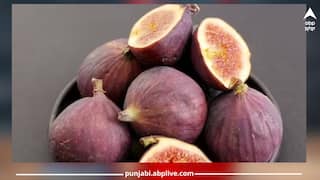 Anjeer: ਅੰਜੀਰ ਖਾਣ ਦੇ ਜ਼ਬਰਦਸਤ ਫਾਇਦੇ, ਇਹ ਦਿਲ ਅਤੇ ਇਮਿਊਨਿਟੀ ਨੂੰ ਰੱਖਦਾ ਮਜ਼ਬੂਤ ...