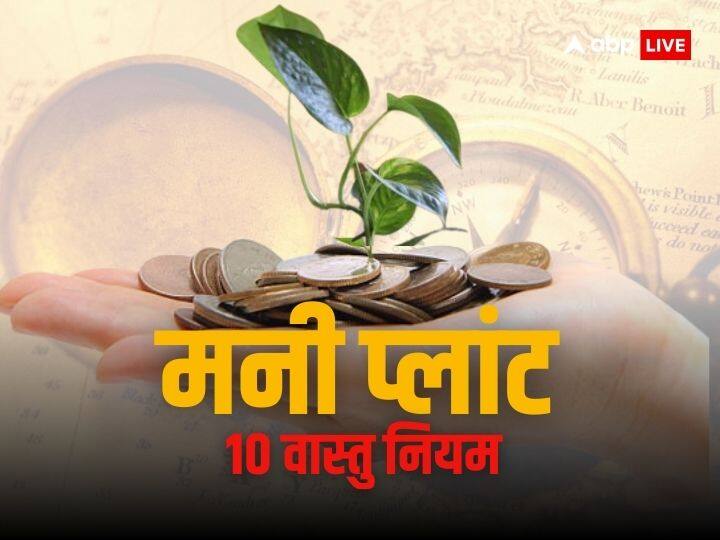 Vastu Tips: धन का पौधा है मनी प्लांट, लेकिन बिना नियम जानें रखने पर बन सकता है धन हानि कारण Vastu Tips money plant planting direction rules for positivity and prosperity at home Vastu Tips: धन का पौधा है मनी प्लांट, लेकिन बिना नियम जानें रखने पर बन सकता है धन हानि कारण
