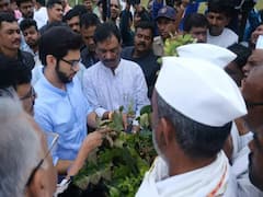 धीर सोडू नका! आदित्य ठाकरे शेतकऱ्यांच्या बांधावर, नुकसानीची केली पाहणी