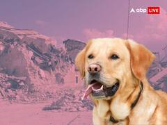 भूकंप आने से पहले ही जानवरों को लग जाती है भनक! करने लगते हैं ऐसी हरकतें