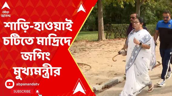 শাড়ি-হাওয়াই চটিতে মাদ্রিদে জগিং মমতার, বাজালেন অ্যাকোর্ডিয়নও