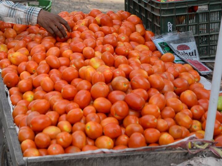 Chhattisgarh Jashpur Vegetable prices declined Tomato fell from Rs 150 per kg to Rs 30 ann Chhattisgarh: जशपुर में सस्ती होने लगीं सब्जियां, टमाटर की कीमत हुई 30 रुपये प्रति किलो