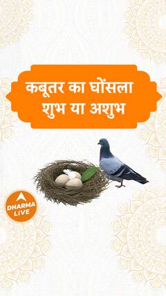 Shubh Ashubh Sanket:  कबूतर का घोंसला - शुभ या अशुभ | Dharma Live