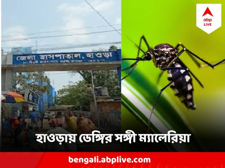 Increase In Dengue And Malaria In Howrah, Hospital Admission Increasing Dengue And Malaria : ডেঙ্গি আতঙ্কের দোসর ম্যালেরিয়া, হাওড়ায় জ্বর ও অন্যান্য উপসর্গ নিয়ে ভর্তি হাসপাতালের বেড