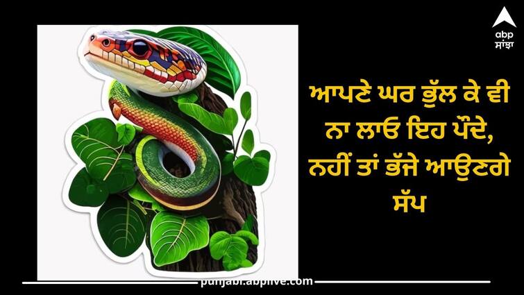 Plants Attract Snakes: Do not forget to plant these plants in your house, otherwise snakes will come Plants Attract Snakes: ਆਪਣੇ ਘਰ ਭੁੱਲ ਕੇ ਵੀ ਨਾ ਲਾਓ ਇਹ ਪੌਦੇ, ਨਹੀਂ ਤਾਂ ਭੱਜੇ ਆਉਣਗੇ ਸੱਪ