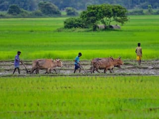 Agriculture Portal: કૃષિ ક્ષેત્રને લઈ સરકારે ભર્યુ મોટું પગલું, શરૂ કર્યું આ ખાસ પોર્ટલ