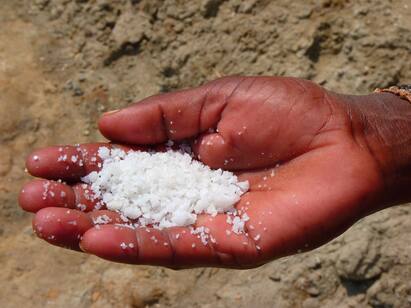 Salt Intake : எப்போவுமே உப்பு பத்தாம, இன்னும் கொஞ்சம் அதிகமா போட்டு சாப்பிடுறீங்களா? உடனே இதைப் படிங்க..