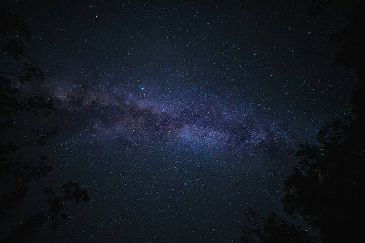 শুক্রগ্রহের জায়গা-বদল বা ট্রানজিটের জেরে কয়েকটি রাশির উপর প্রভাব পড়বে। কিছু রাশির ঝুলি ভরে যেতে পারে অর্থে।