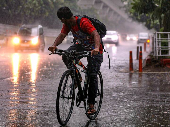 A man rides a bicycle amid rain in Noida on Friday. (Photo: PTI)