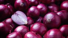 Benefits Of Onion: આ કારણે ડુંગળીને રૂટીન ડાયટમાં અચૂક કરવી જોઇએ સામેલ, તેના ફાયદા જાણી દંગ રહી જશો
