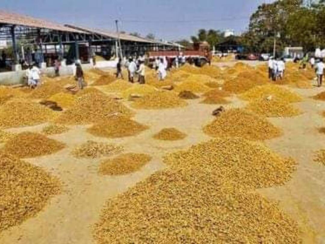 54 tenders were received for purchase of grain in Telangana Selection of eligibles after opening of financial bids tomorrow Telangana grain 54 tenders: యాసంగి ధాన్యం కొనుగోలుకు 54 టెండర్లు-రేపు అర్హుల ఎంపిక