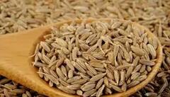 Weight Loss: પેટની ચરબીને માખણની જેમ ઓગાળશે આ ટિપ્સ, શરૂ કરો આ ચીજ, ઝડપથી ઘટશે વજન