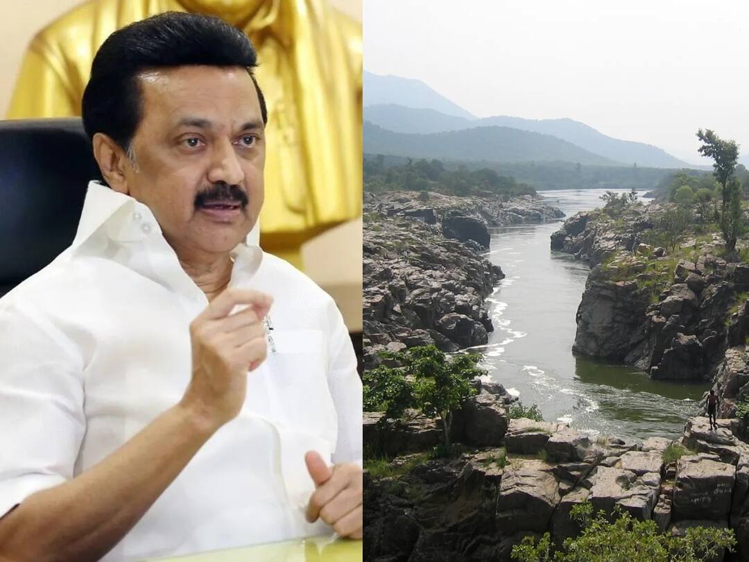 தமிழ்நாட்டுக்கு சேரவேண்டிய நீர்.. அனைத்துக் கட்சி எம்.பி கூட்டத்தில் மனு அளிப்பார்கள் - முதலமைச்சர் ஸ்டாலின்