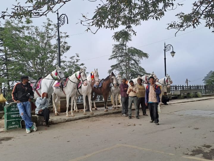 जुलाई-अगस्त महीने में हुई भारी बारिश की वजह से पर्यटन कारोबार बुरी तरह प्रभावित हो गया था.