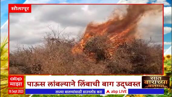 Saat Barachya Batmya : एका क्लिकवर इ पंचनामा ते दुध व्यवयाायातून लाखोंची कमाई