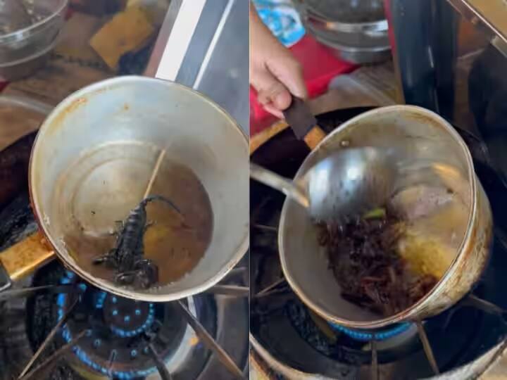 Seeing a woman frying scorpions and cockroaches in boiling oil, the people got angry after seeing the video saying  have mercy. ઉકળતા તેલમાં વીંછી અને કોકરોચને તળતી મહિલા પડી નજરે, VIDEO જોઈ લોકો ભડક્યા, કહ્યું- કઈંક તો દયા કરો