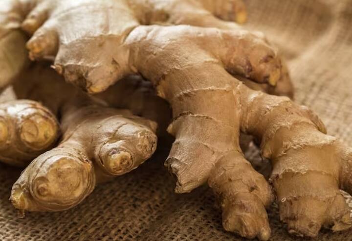 જર્નલ ઑફ ન્યુટ્રિશનમાં પ્રકાશિત થયેલા અભ્યાસમાં જાણવા મળ્યું છે કે આદુમાં એવા ગુણધર્મો છે જે એલડીએલ