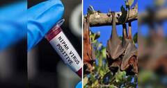 Virus Alert: દેશના આ રાજ્યમાં સતત વધી રહ્યાં છે નિપાહ વાયરસના કેસ, આ લક્ષણો અનુભવાય તો થઇ જાવ સાવધાન