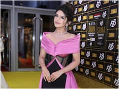 Sreeleela Photos : సైమా అవార్డుల్లో శ్రీలీల - మిలమిల ఎలా మెరిసిందో చూశారా?