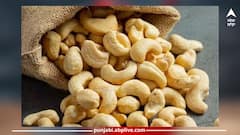 Cashew: ਇੱਕ ਦਿਨ ਵਿੱਚ ਕਿੰਨੇ ਕਾਜੂ ਖਾਣੇ ਸਿਹਤ ਲਈ ਫਾਇਦੇਮੰਦ ਹੁੰਦੇ? 95 ਫੀਸਦੀ ਲੋਕ ਇਹ ਨਹੀਂ ਜਾਣਦੇ