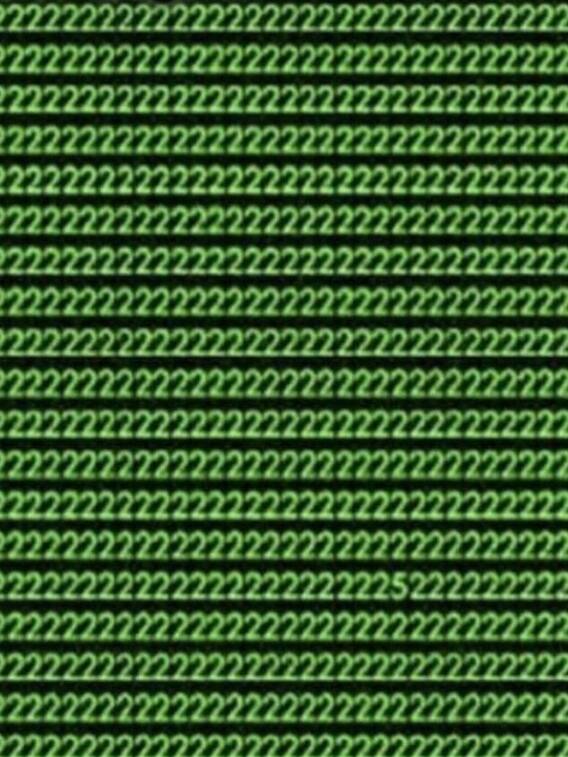 इस तस्वीर में छिपा हुआ है 5 नंबर, 10 सेकंड में क्या ढूंढ पाएंगे?