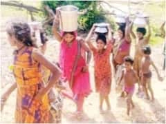 बिजली-पानी के अभाव में जंगल में बस गए ग्रामीण, समझाने के बावजूद वापस गांव आने को नहीं तैयार