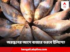 রান্নাপুজোয় বাঙালির পাতে ইলিশ পড়বে ? ভরল কি মৎসজীবীদের জাল ?