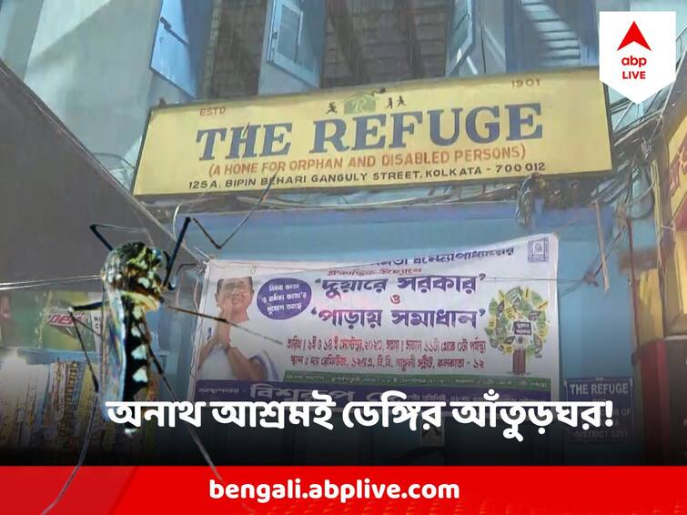 dengue mosquito larvea found in an Orphanage run by Trinamool councilor at BB Ganguly Street Dengue : তৃণমূল কাউন্সিলর পরিচালিত অনাথ আশ্রমই ডেঙ্গির আঁতুড়ঘর!