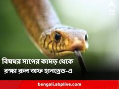 বিষধর সাপের কামড় থেকে রক্ষা রুল অফ হানড্রেড-এ, কী এই নিয়ম ?