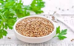 Weight Loss: પેટની ચરબીને માખણની જેમ ઓગાળશે આ ટિપ્સ, શરૂ કરો આ ચીજ, ઝડપથી ઘટશે વજન