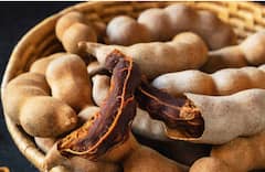 Side Effect Of Eating Tamarind : 'या' लोकांनी चुकूनही चिंचेचे सेवन करू नये, पाहा