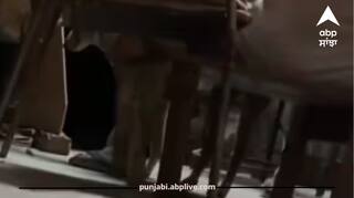 Man Raping Female Dog : ਕੁੱਤੇ ਦੇ ਨਾਲ ਹੈਵਾਨੀਅਤ! ਸ਼ਖ਼ਸ ਨੇ ਕੈਮਰੇ ਦੇ ਸਾਹਮਣੇ ਕੀਤੀ 'ਗੰਦੀ ਹਰਕਤ', VIDEO ਵਾਇਰਲ ਹੋਣ ਤੋਂ ਬਾਅਦ ਇੰਟਰਨੈੱਟ 'ਤੇ ਮਚਿਆ ਬਵਾਲ