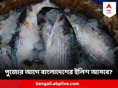 পুজোর আগে বাংলার বাজার ভরবে বাংলাদেশের ইলিশে? মালদা থেকে এল সুখবর