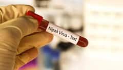Virus Alert: દેશના આ રાજ્યમાં સતત વધી રહ્યાં છે નિપાહ વાયરસના કેસ, આ લક્ષણો અનુભવાય તો થઇ જાવ સાવધાન