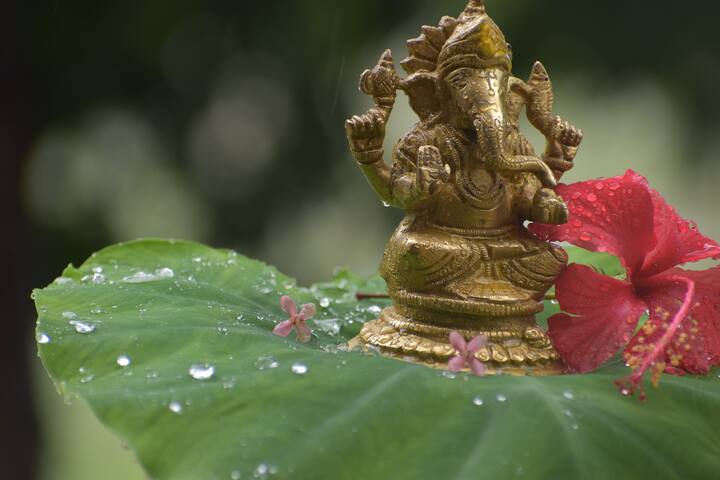 একটি গুরুত্বপূর্ণ বিষয় মনে রাখবেন যে আপনি যখনই গণপতির মূর্তি কিনবেন, বাপ্পার মূর্তিটিতে অবশ্যই একটি ইঁদুর থাকতে হবে এবং একই সঙ্গে তার হাতে একটি মোদক থাকতে হবে।