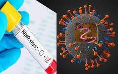 Virus Alert: દેશના આ રાજ્યમાં સતત વધી રહ્યાં છે નિપાહ વાયરસના કેસ, આ લક્ષણો અનુભવાય તો થઇ જાવ સાવધાન
