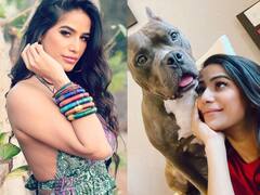 পুনম পাণ্ডের বাড়িতে ভয়াবহ অগ্নিকাণ্ড, সুস্থ রয়েছে পোষ্য 'সিজার', কৃতজ্ঞতা জানালেন অভিনেত্রী